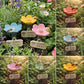 ⏳Begrænset tid 50% rabat🐝Blomsterformet vandstation til bier💧