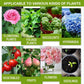 🥳2026 STOR UDSALG🥳💞Over 50.000 solgt!🥬🌻 KØB 1, FÅ 1 GRATIS! Økologisk plantegødning – Vigtige mineraler og aminosyrer. Sundere planter, en gladere altanhave. 🏡💚