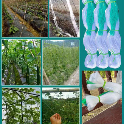 🌿【Klatrende net】— Tomater og agurker klatrer op af sig selv, så frugterne ikke ligger på jorden, og du ikke behøver at bukke dig ned, når du plukker dem! 🍅✨