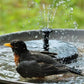 🌻SIDSTE DAGS UDSALG – 50 % RABAT!!🐦️⛲Kompakt solcelledrevet springvandspumpe til fugle – hold liv i din have!
