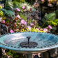 🌻SIDSTE DAGS UDSALG – 50 % RABAT!!🐦️⛲Kompakt solcelledrevet springvandspumpe til fugle – hold liv i din have!