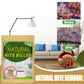 ⏳SIDSTE DAG I UDSALGET – KUN 159,95 kr.!!🌿🛡️ Storbritanniens førende naturlige midebeskyttelsespose – godkendt af Allergy UK • 100 % kemikaliefri • Sikker for babyer, kæledyr og astmatikere 🛏️✨