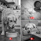 ⏳Tidsbegrænset tilbud: 49 % rabat🐶🦴Roll-N-Lick hundeskål: Den ultimative skål til flydende godbidder – en skål, der forhindrer hunde i at spise for hurtigt, med en rullende kugle