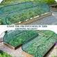 Foldable Pop-Up Plant Mesh Cover – Protects Plants, Breathable Design & Easy Setup 🌿