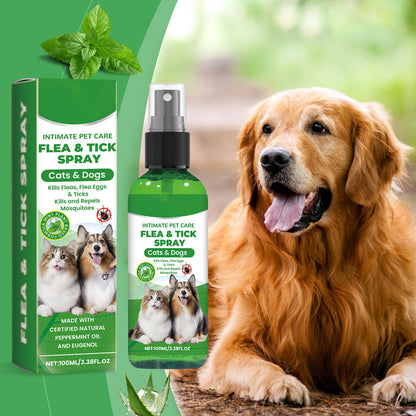 🥳2026 STOR UDSALG🥳🍃🐾 50 % RABAT! Naturlig loppe- og flåtspray – med pebermynte og tea tree-olie, sikker at bruge til katte og hunde. Lindrer kløende hud, indeholder ingen skrappe kemikalier. Bare spray og gå. En skånsom løsning mod skadedyr. 🌿✨