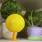 ⏰🎁Klæbende frugtfluefælde i kugleform med stativ og LED