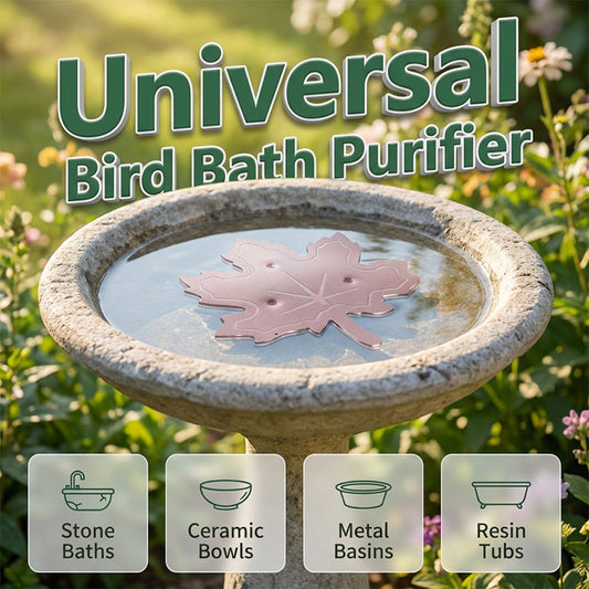 💐50 % RABAT! Miljøvenlig renser til fuglebad – uden skrappe kemikalier 🌍🍃【Grønt tilbud】