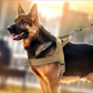 🏆SIDSTE DAGS UDSALG: KUN 139,95 kr.!!🎁✨Robust taktisk hundesele med håndtag🐕