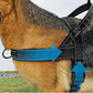 🥳2026 STOR UDSALG🥳🐕💪 50 % RABAT! Robust taktisk hundesele – trækker ikke, kvæler ikke. 🛡️✨