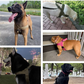 🏆SIDSTE DAGS UDSALG: KUN 139,95 kr.!!🎁✨Robust taktisk hundesele med håndtag🐕