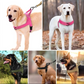 🥳2026 STOR UDSALG🥳🐕💪 50 % RABAT! Robust taktisk hundesele – trækker ikke, kvæler ikke. 🛡️✨
