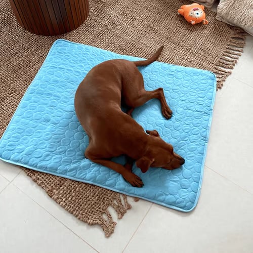 ❄️🐾Kølemåtte til kæledyr (4 gange bedre køleeffekt)🐶 Et must-have til sommeren for alle kæledyrsejere