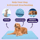 ❄️🐾Kølemåtte til kæledyr (4 gange bedre køleeffekt)🐶 Et must-have til sommeren for alle kæledyrsejere