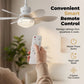 💡2-i-1 LED-loftventilator med kølefunktion💨