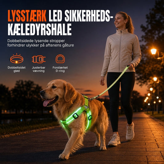 🐾Justerbar LED-hundsele, lysende blinkende kæledyrsbrystsele